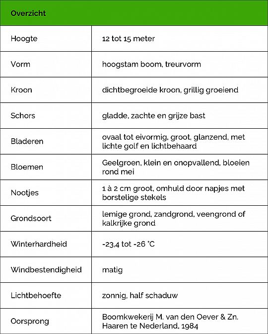 Tabel Zwarte treurbeuk.jpg